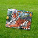 Suche nach bengals Orange