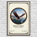 Suche nach kahl poster Adler