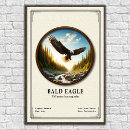 Suche nach beute poster Adler