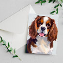 Suche nach cocker spaniel hund karten Hunde