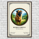 Suche nach brüssel poster Hund