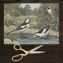 Suche nach ornithologisch Ornithologie