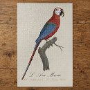 Suche nach ara puzzle Vogel