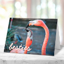 Suche nach rosa flamingo karten Für alle