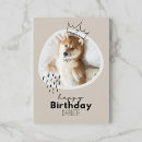 Suche nach shiba inu karten Jede person