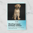 Suche nach labrador retriever geburtstag karten Geburtskarte