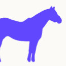 Suche nach pferdetrainer visitenkarten Reitsport