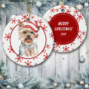 Suche nach yorkshire terrier ornamente Hund