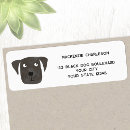 Suche nach labrador rücksende aufkleber Haustier