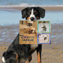Suche nach lustige katze kalender Jede person