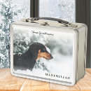 Suche nach hund brotdosen Foto