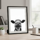 Suche nach schwarze kuh poster Schwarz weiß