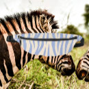 Suche nach zebradruck taschen Jede person