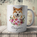 Suche nach akita inu tassen Hund