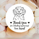 Suche nach cocker spaniel hund Jede person
