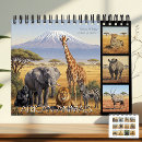 Suche nach wildes tier kalender Gorilla