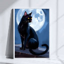 Suche nach katze und vollmond poster Kätzchen
