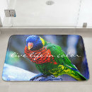Suche nach lorikeet Vogelvogel