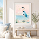 Suche nach küstenvögel poster Küstenvogel