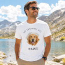 Suche nach lustige golden retriever tshirts Jede person