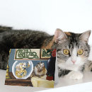 Suche nach fantasy karten Jede person