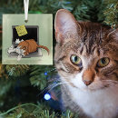 Suche nach lustige katzen ornamente Jede person