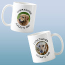 Suche nach zwei hunde Tag