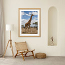 Suche nach afrikanische giraffe poster Savanne