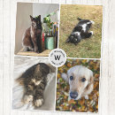Suche nach lustige hunde decken Für alle
