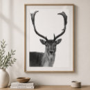 Suche nach stag poster Hirsche