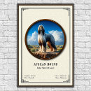 Suche nach afghanischer poster Hund