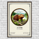 Suche nach biber poster Wildtiere