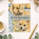 Suche nach bester freund postkarten Jede person