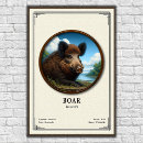 Suche nach aggressiv poster Schwein