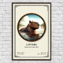 Suche nach capybara poster Tier