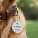 Suche nach zwei durch zwei Hund