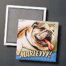 Suche nach comic magnete Für alle