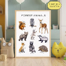Suche nach waldtier poster Jedes kind