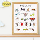 Suche nach insekten poster Für kinder