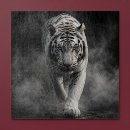 Suche nach weißer tiger puzzle Wildtiere