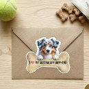 Suche nach australian shepherd aufkleber Tier