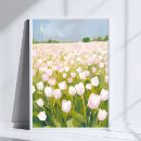 Suche nach weiße tulpe poster Blumen
