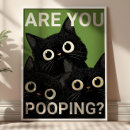 Suche nach kacken sie poster Schwarze katze
