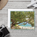 Suche nach bäume postkarten foto