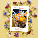 Suche nach fische aquarium karten Tropisch