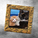 Suche nach niedlicher tiger magnete Safari