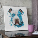 Suche nach kleiner weißer hund poster Hundefreund