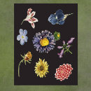 Suche nach wissenschaftliche illustration poster Illustrationen