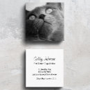 Suche nach dog sitter visitenkarten Haustiersitze