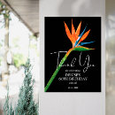 Suche nach birthday party poster Geburtstagsparty